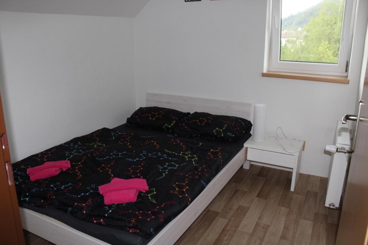 Apartman Rapotin, Jesenicka 296, 3Km Od Termalniho Parku Velke Losiny Exterior photo